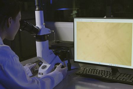 Microstructure Examination