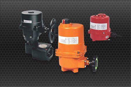 Comprehensive range of Eletric-Actuators