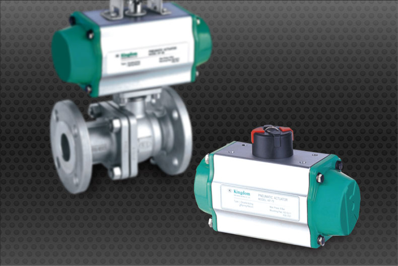 Pneumatic Actuator