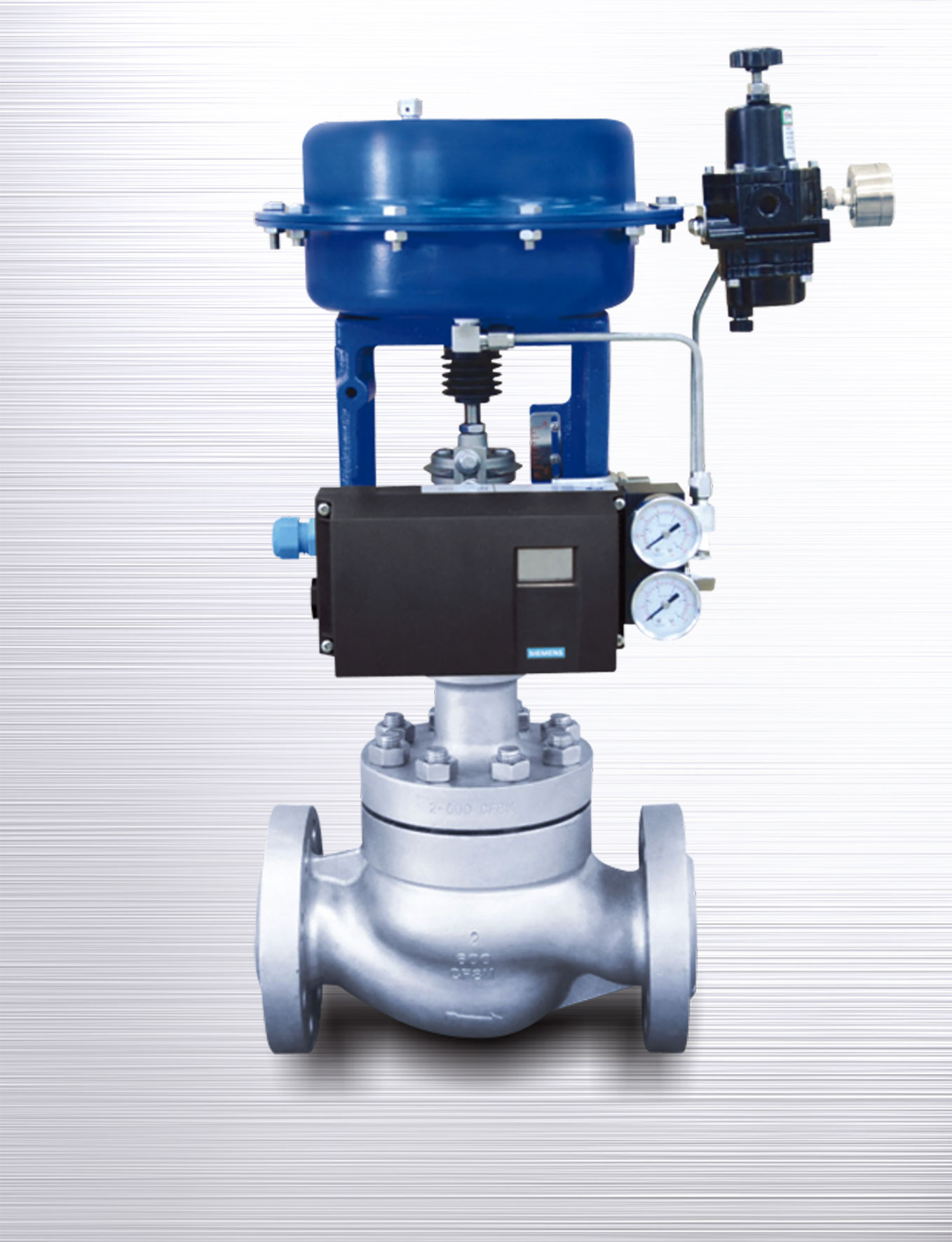 Cage Double Seated Control Valves